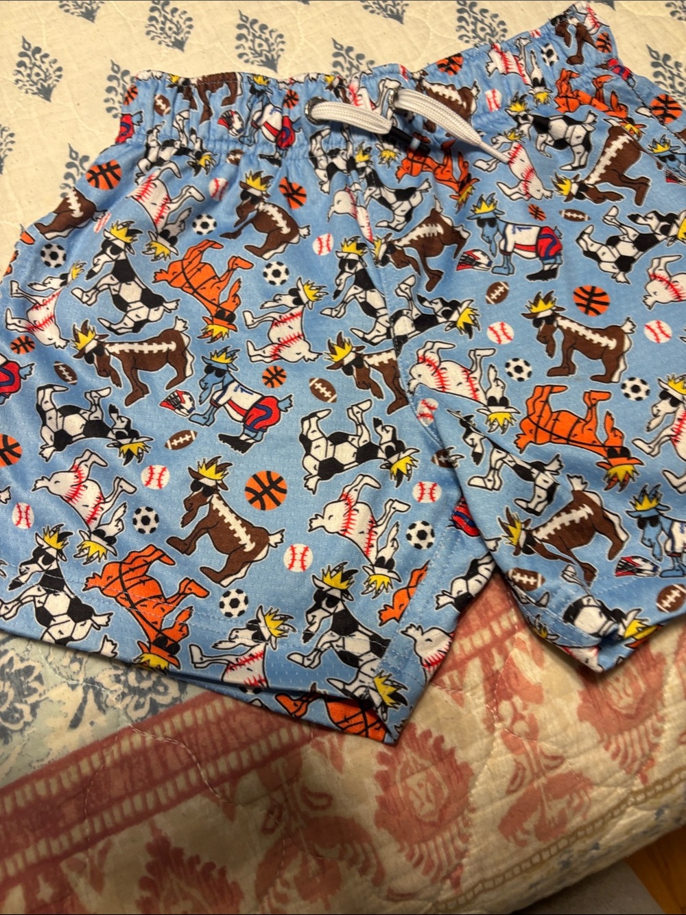 GOAT USA Light GOAT & Sports Print Pull-On Shorts - Picture 4 of 6